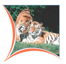 Kanha National Park, Kanha Travel Packages