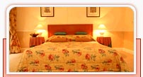 Budget Hotels