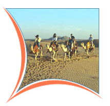 Camel City, Bikaner Travel Guide