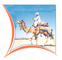 Camel Safari, Jodhpur Holiday Packages