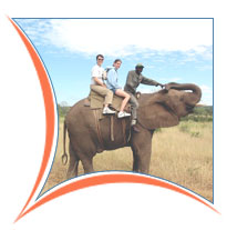 Elephant Safari Tour