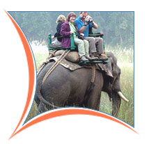 Elephant Safari Tour