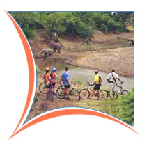 Cycle Safari Tour