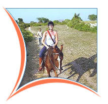 Horse Safari Tour