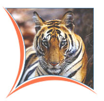 National Park, Ranthambore Tours